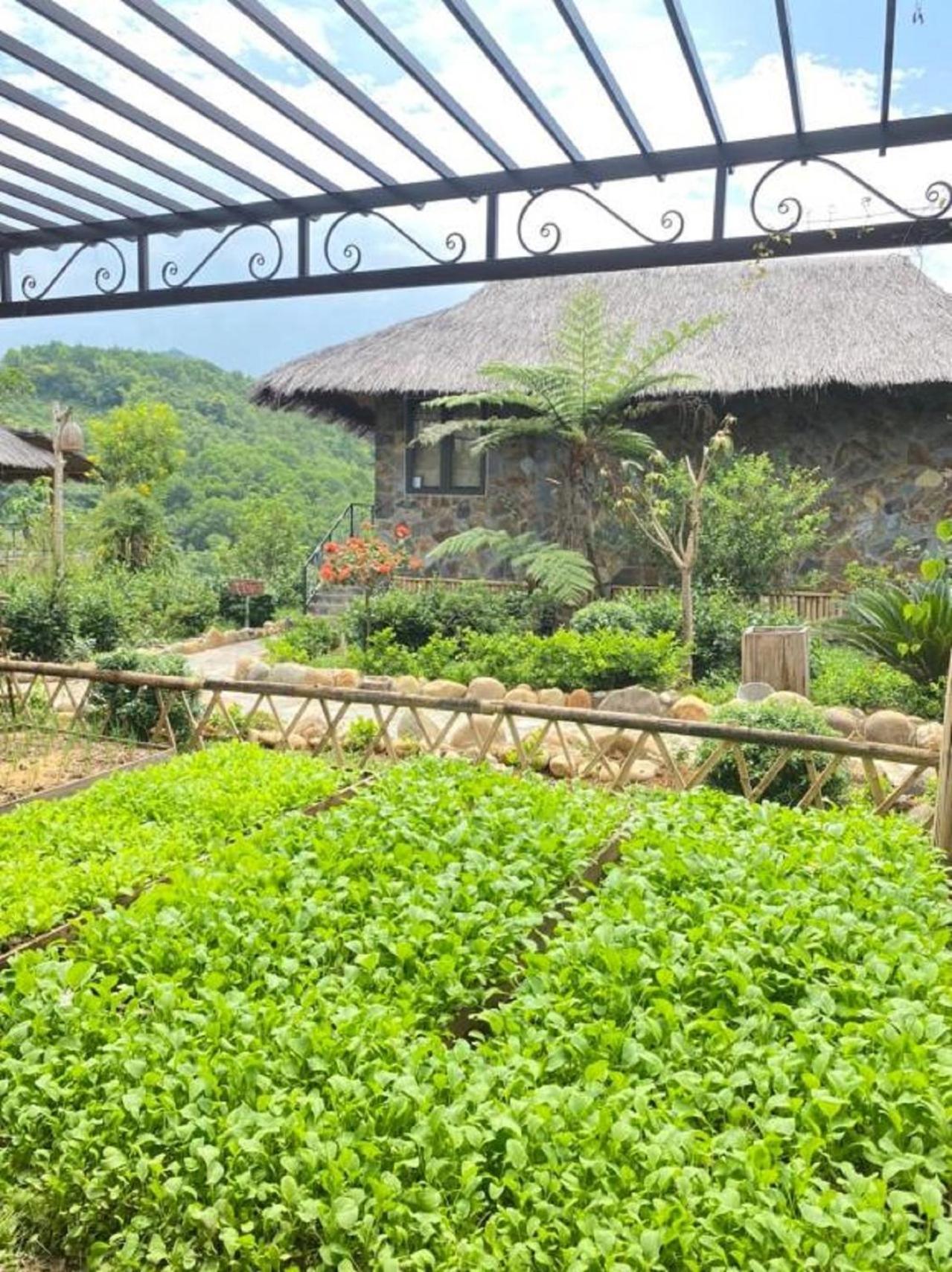 Muong Lo Retreat Nghia Lo Βίλα Yen Bai Εξωτερικό φωτογραφία